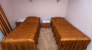Гостиница Риони Муром Стандартный двухместный номер с 2 отдельными кроватями-1